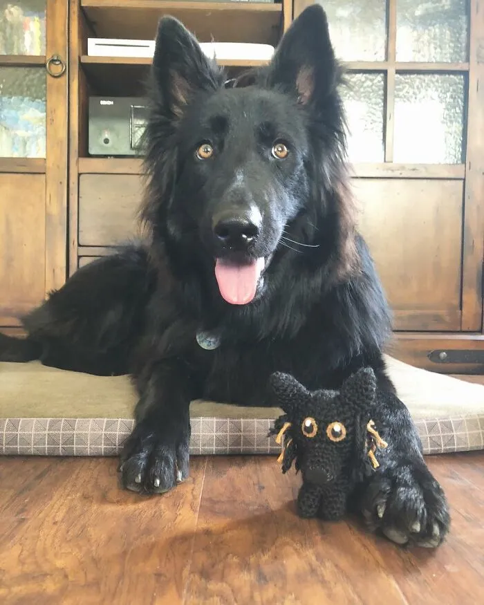 29 Stuffed Animals That I Created Based On Other People's Pets