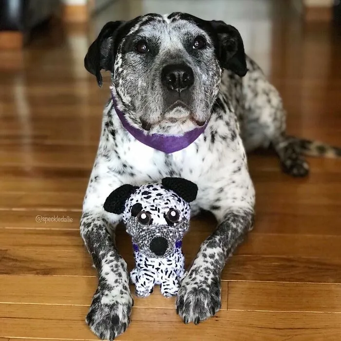 29 Stuffed Animals That I Created Based On Other People's Pets