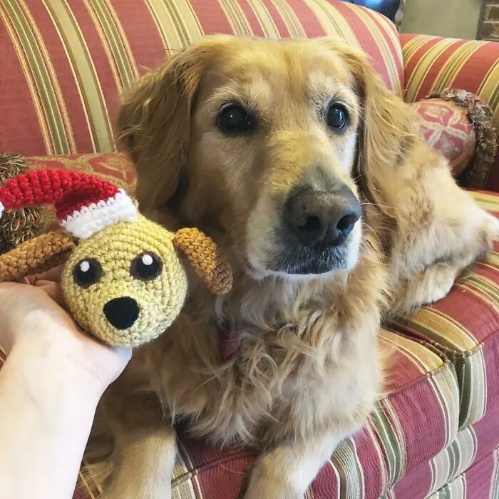 29 Stuffed Animals That I Created Based On Other People's Pets