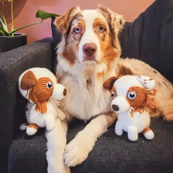 29 Stuffed Animals That I Created Based On Other People's Pets