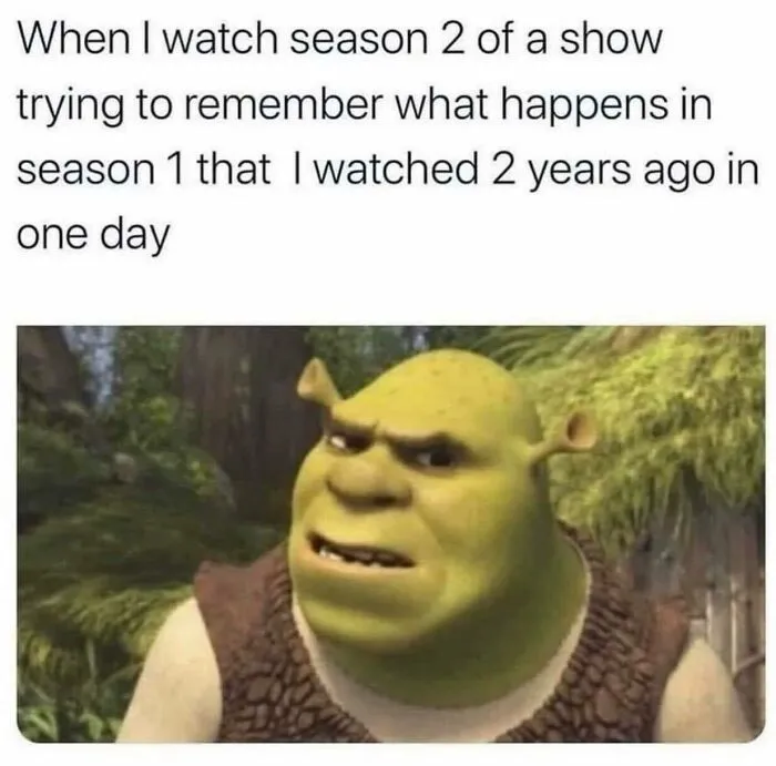 50 Of The Most Spot-On Memes For Netflix Users Shared On This Facebook Page