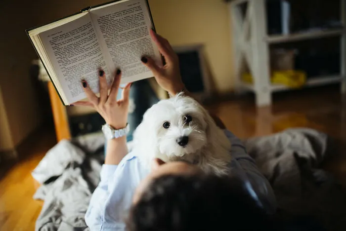 Read A Book