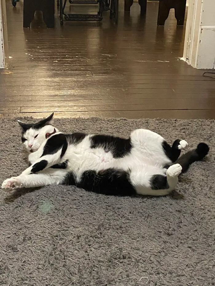 My 4 Year Old Baby