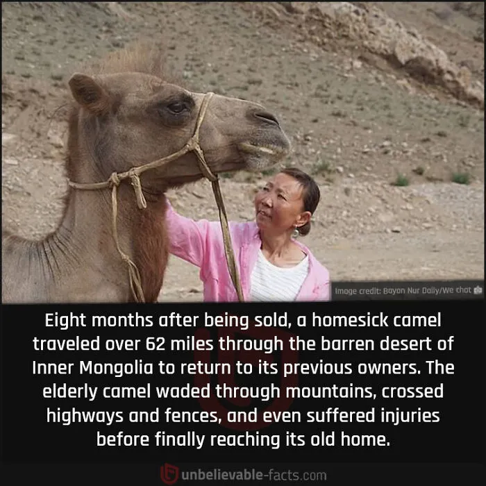 40 Hard-To-Believe Facts Shared By The “Unbelievable Facts” Facebook Page (New Pics)
