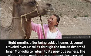40 Hard-To-Believe Facts Shared By The “Unbelievable Facts” Facebook Page (New Pics)