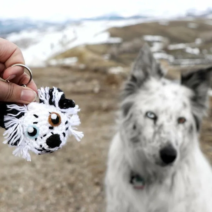 29 Stuffed Animals That I Created Based On Other People's Pets