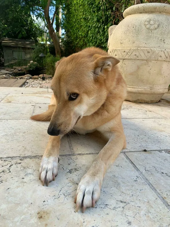 Daisy Being Bashful