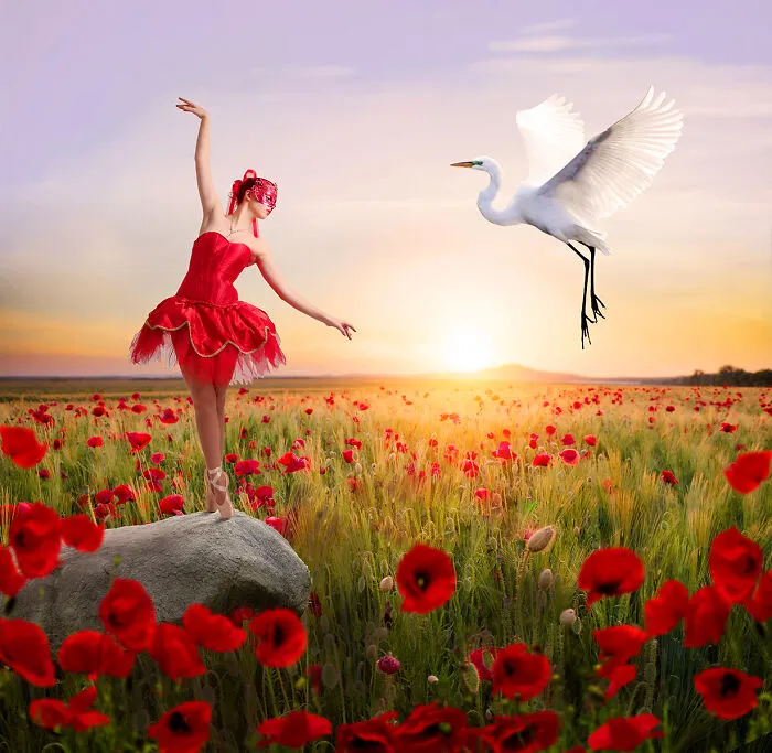 The Dance