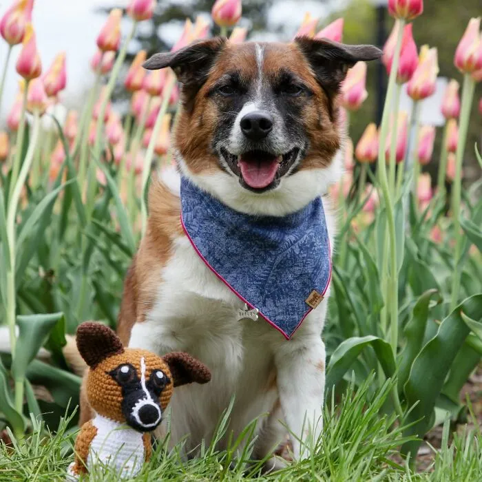 29 Stuffed Animals That I Created Based On Other People's Pets
