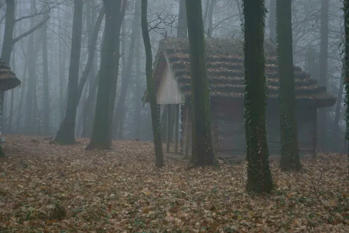 Cabaña cerca de Lviv
