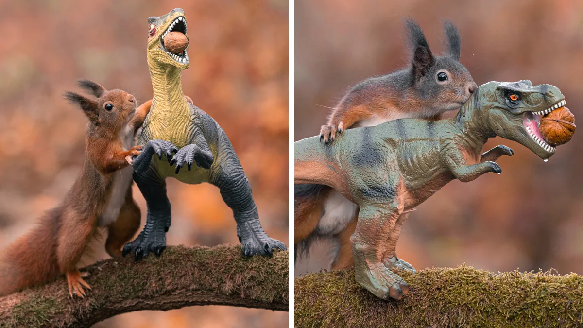 19 Pictures Of Squirrels Interacting With Dinosaurs Taken By Me