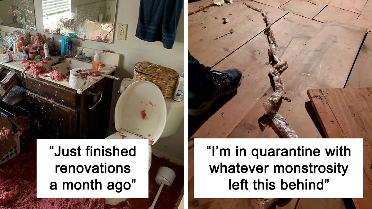 "Well, That Sucks": 30 Times Really Unfortunate Things Happened To People's Homes (New Pics)