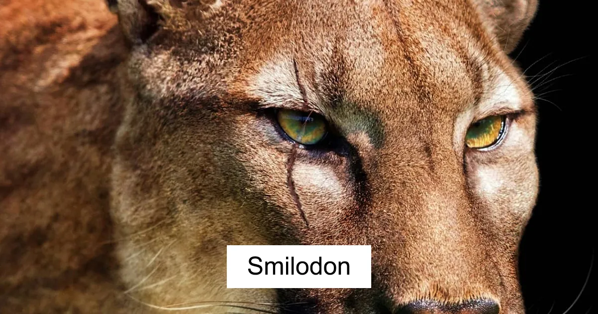 Un artista muestra cómo podrían ser estos animales extintos en la vida real en 30 ilustraciones