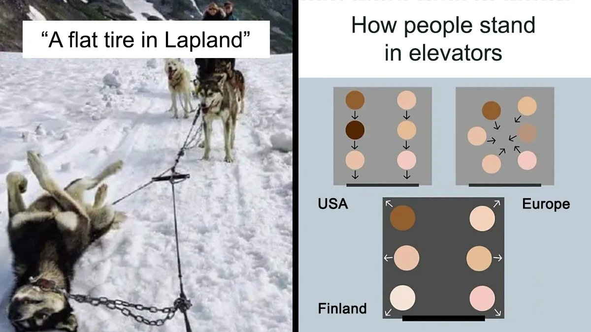 200k People Are Loving This Funny Instagram Page That Shares “Very Finnish Problems” (50 New Pics)