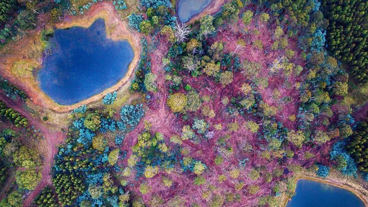 I Took Aerial Photos With A Drone, And Here Are 22 Of The Best Ones