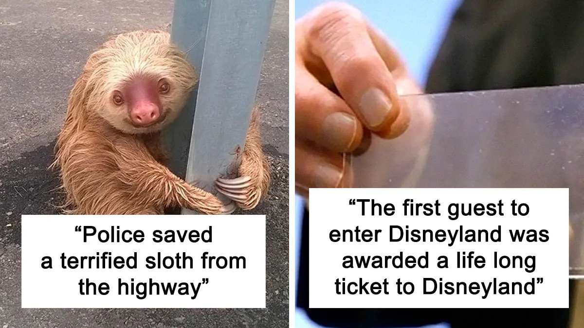 This Instagram Account Collects Mind-Boggling Facts About Our World And Here Are 50 Of The Wildest Ones