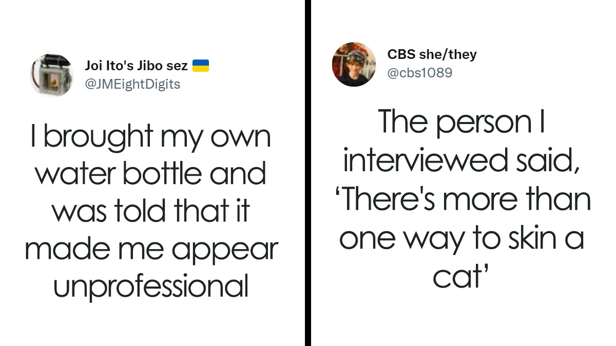 Woman Asks People To Share Their Worst Job Interviews, Gets These 30 Trainwrecks
