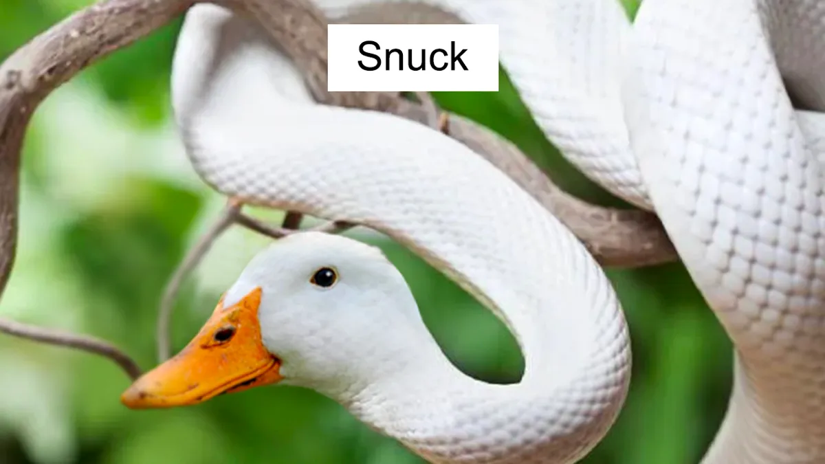 Members Of Online Group Create The Stupidest Animal Hybrids They Can Think Of (40 Pics)