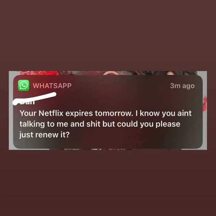 My Ex That I Haven’t Talked To In 6 Months Had To Audacity To Ask To Renew My Netflix Account So She Can Use It