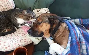 50 Pictures That Are Worth More Than A Thousand Words