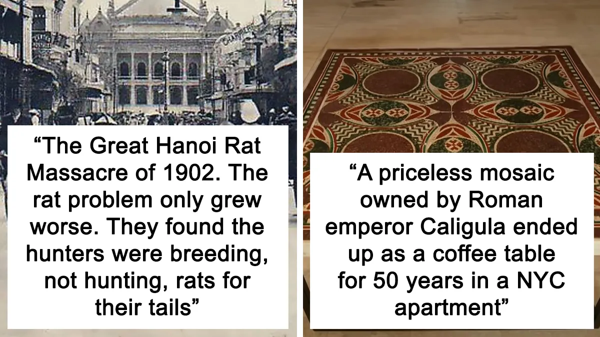 50 New ‘Today I Learned’ Facts That Prove It’s Never Too Late To Learn Something New