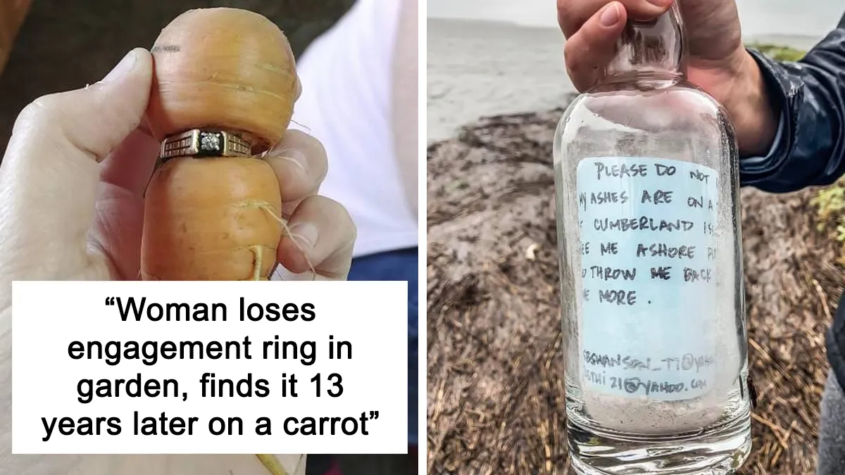 50 Times People Found Such Unexpected Things, They Just Had To Share The Pics In This Online Group