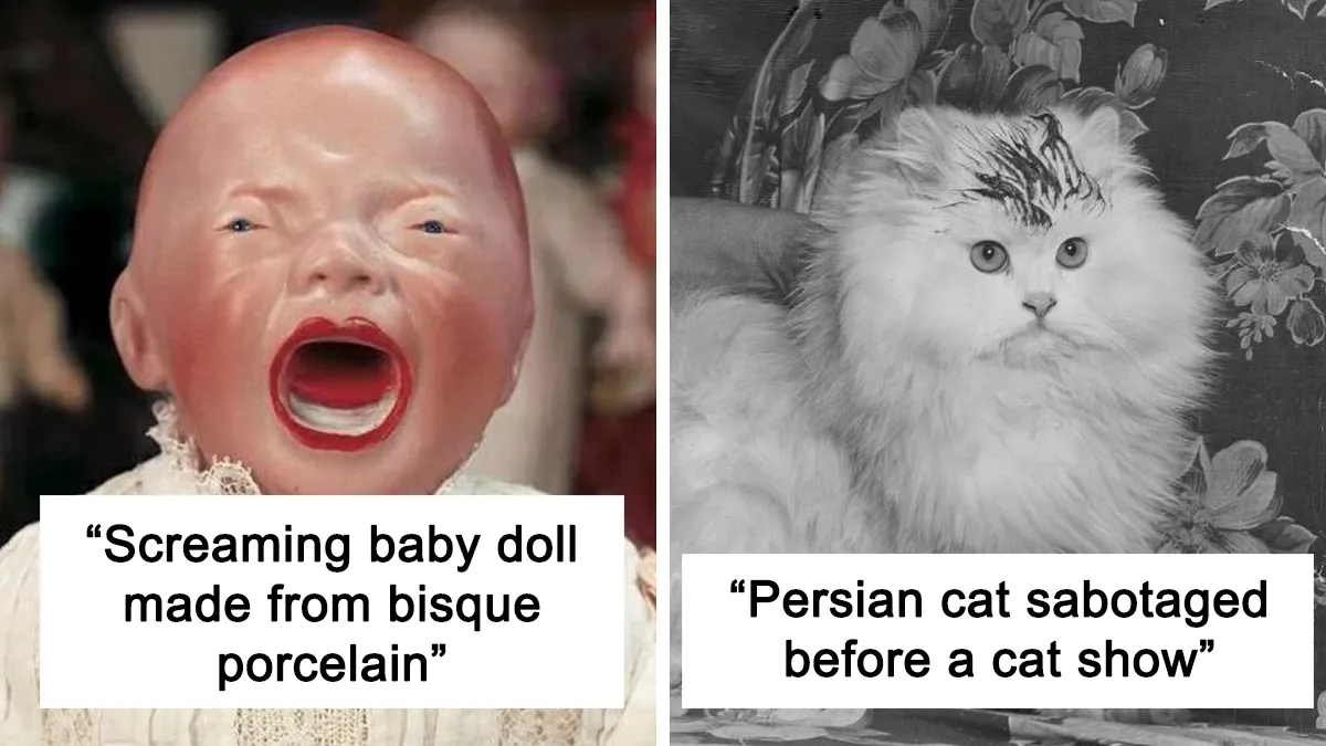 "The Museum of Ridiculously Interesting Things": 30 Of The Weirdest Items Shared On This Facebook Page