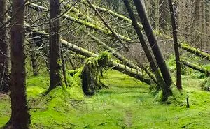 50 Times Mother Nature Proved To Be Scary As Hell (WARNING: This List Might Be Too Scary For You)
