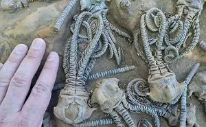 50 Times Mother Nature Proved To Be Scary As Hell (WARNING: This List Might Be Too Scary For You)
