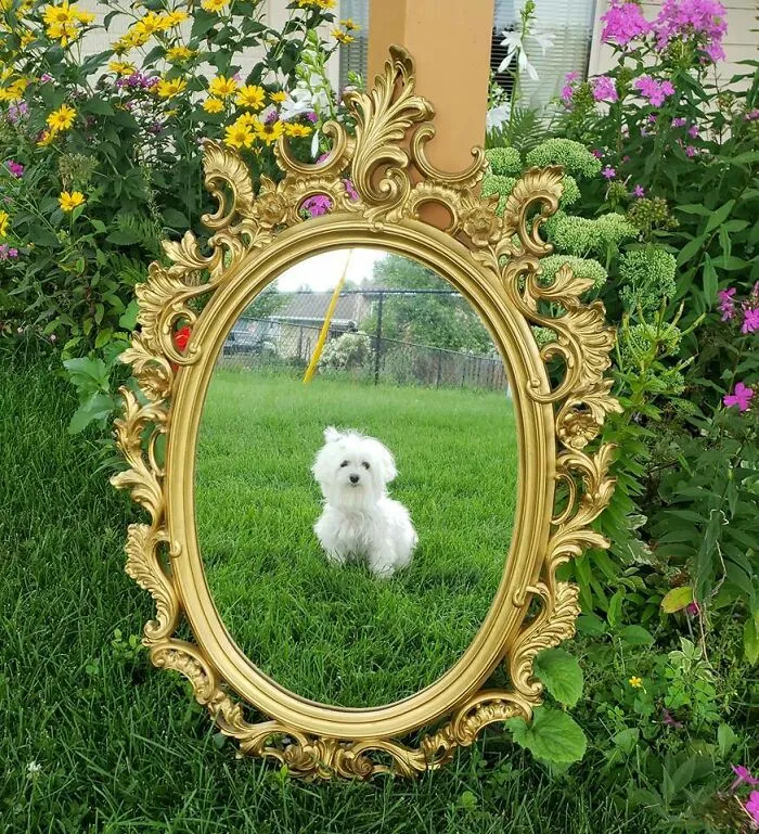 This Facebook Marketplace Photo Looks Like An Art Piece To Me