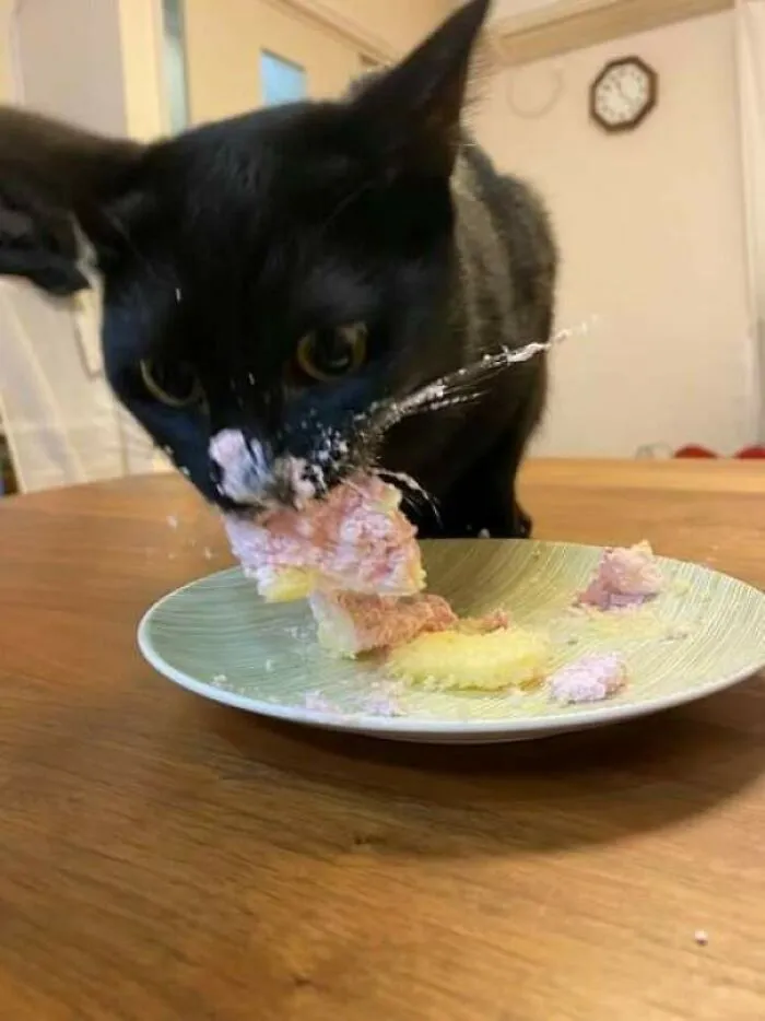 Caught A Christmas Thief