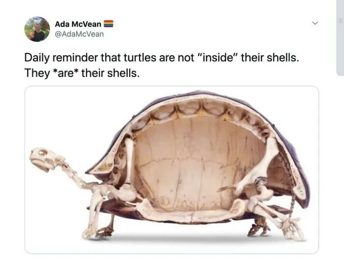 .....oh
