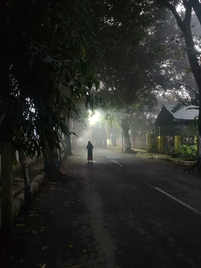 ¿Me he despertado de repente en Silent hill?