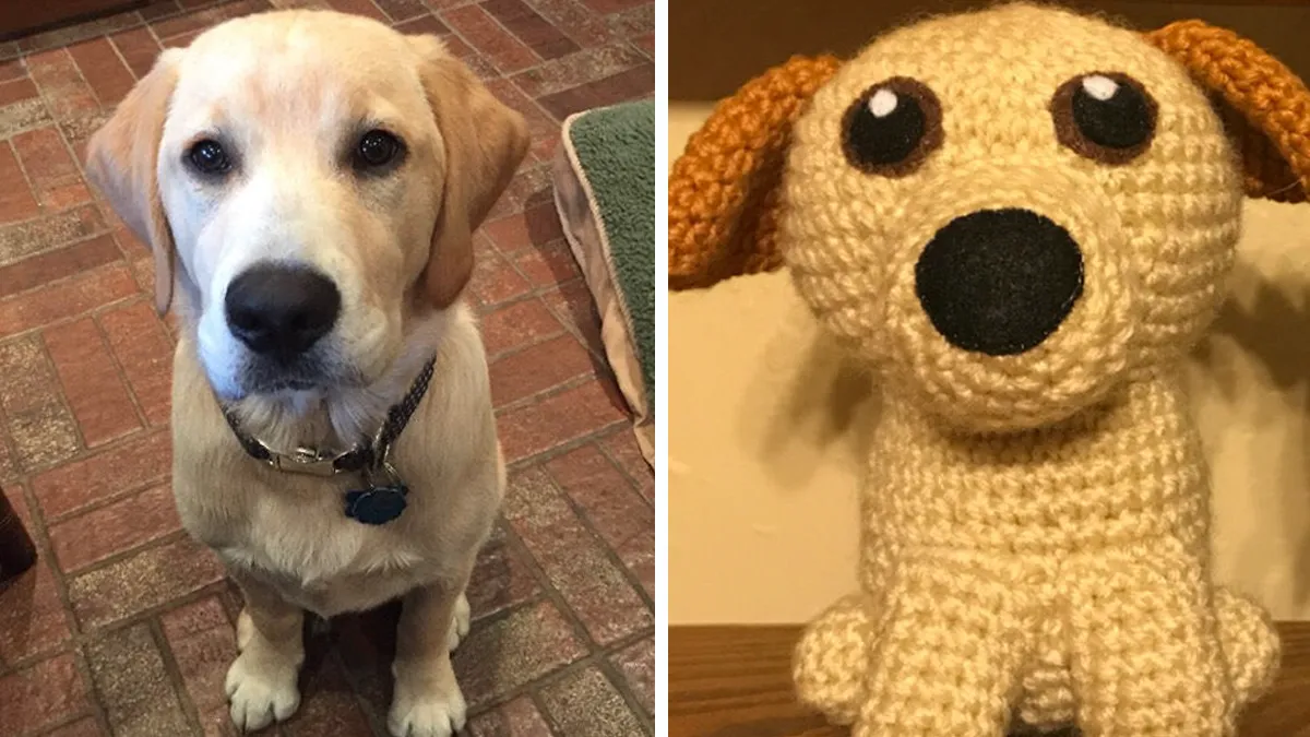 29 Stuffed Animals That I Created Based On Other People's Pets