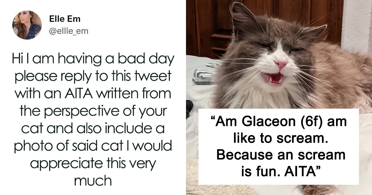 35 AITA Posts That Are Funny Because They Are Written From A Cat’s Perspective, Shared In This Twitter Thread