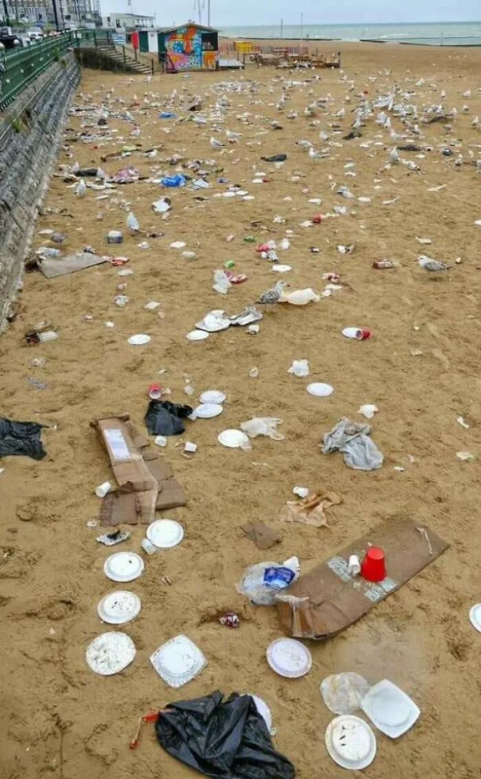  Cómo los turistas dejaron la playa de cerca de mi casa