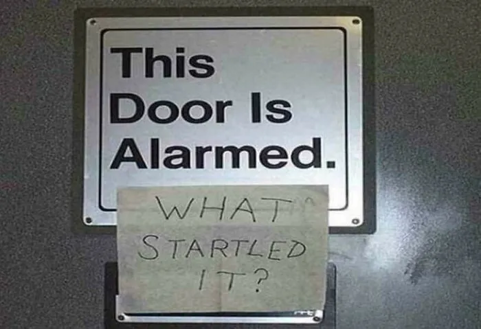He Just Wants To Know!