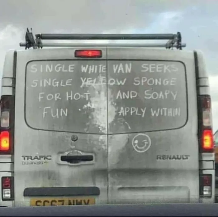 That's One Way To Get A Van Cleaned