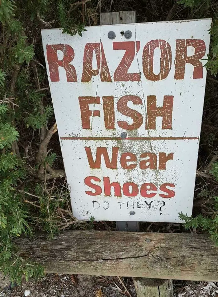 Found At Tumby Bay, South Australia