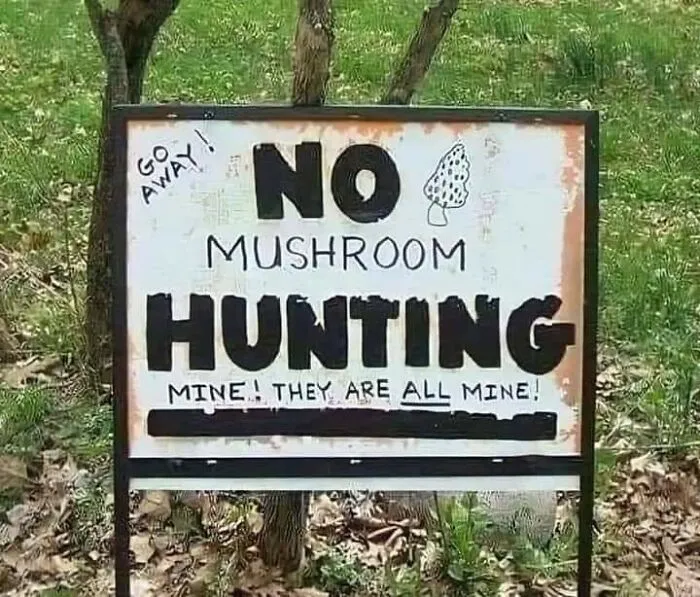 He Seems Like A Really Fungi