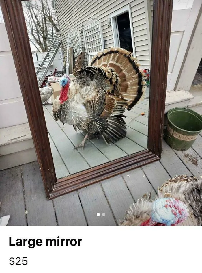 A Very Handsome Salesman