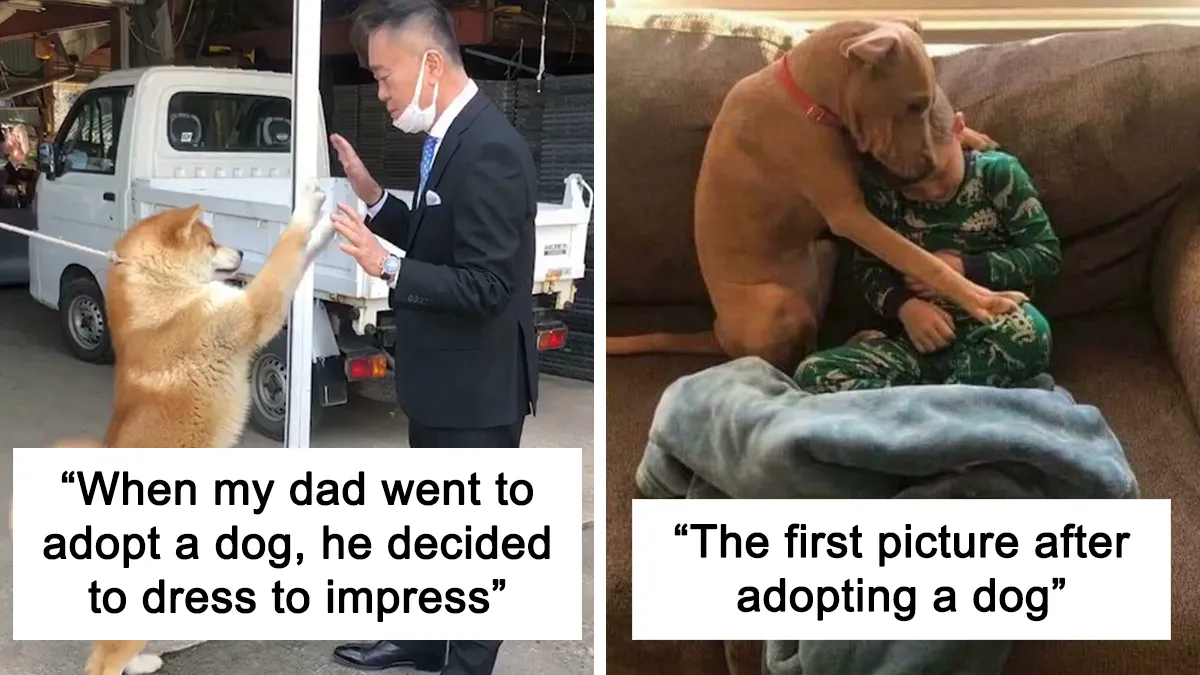 40 Soul-Healing Rescue Pet Pics To Make You Smile (March Edition)