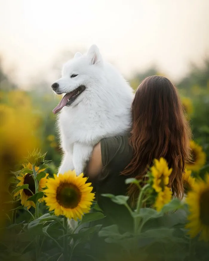 I Love Capturing The Joyful Souls Of Dogs Through My Photography (62 Pics)