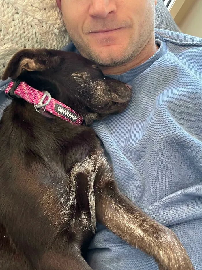 Joy Is Having An Adopted Puppy Fall Asleep On Your Chest On A Saturday Morning