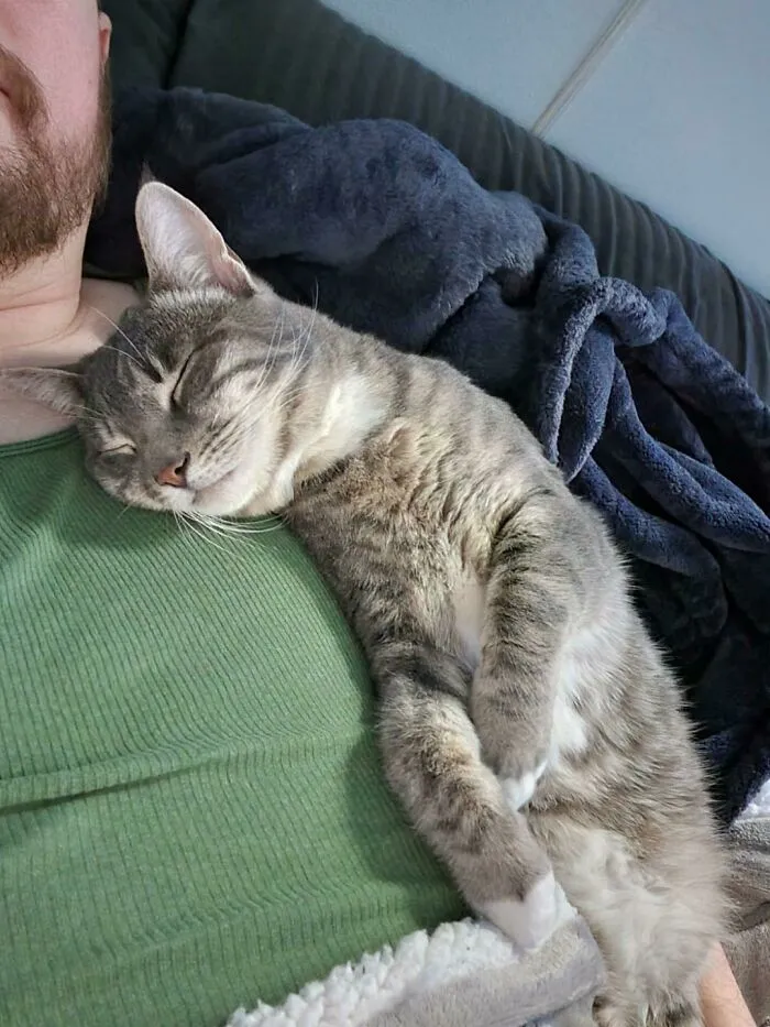 My TNR Ragnar. "He's To Feral For Adoption"