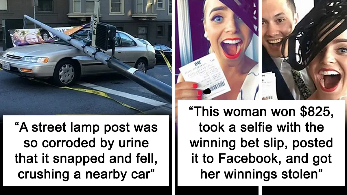 50 New ‘Today I Learned’ Facts That Prove It’s Never Too Late To Learn Something New