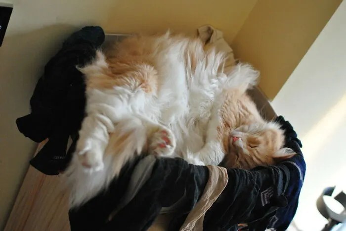 Close Your Eyes And Don’t Move