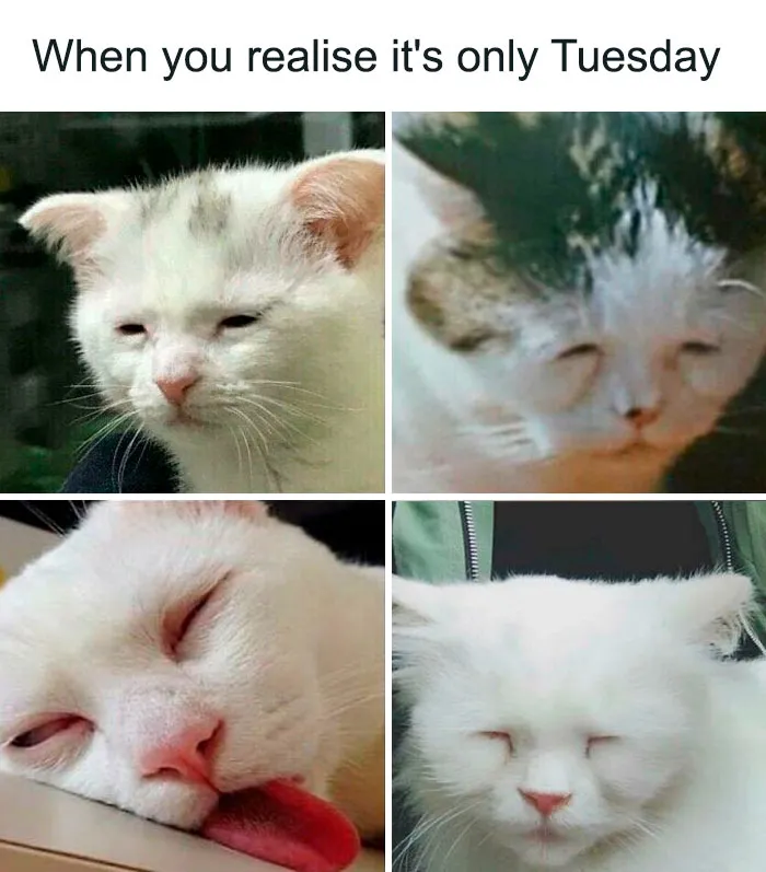 This IG Account Collects Funny Memes About Work Stress; Here Are 40 Of Them