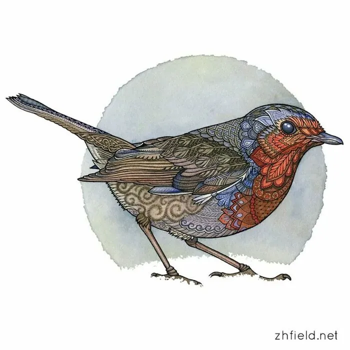 A Robin In The Snow