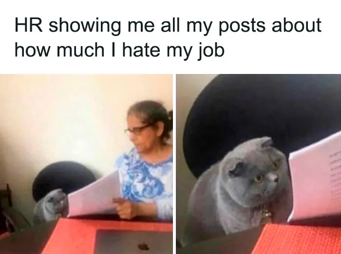 This IG Account Collects Funny Memes About Work Stress; Here Are 40 Of Them